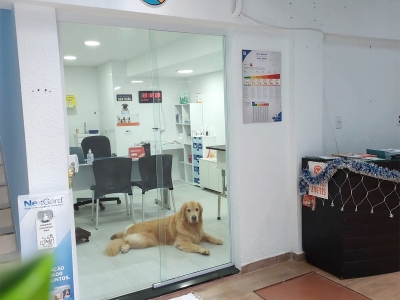 Clnica Veterinria em So Caetano do Sul